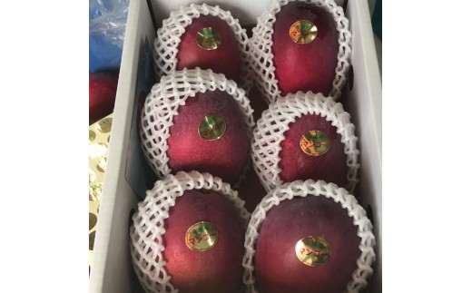 
            宮平農園のマンゴー1.5kg(アーウィン)
          