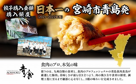 【定期便 偶数月 全6回お届け】金豚餃子セット（香港餃子・しそ餃子・にら餃子　1パック10個入×各2パック）_M166-T002-6