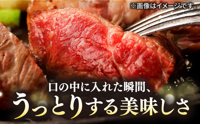 【全2回定期便】壱岐牛 A5ランク ギフトセット《壱岐市》【KRAZY MEAT】 ステーキ 赤身 牛肉 肉 贈答 プレゼント ギフト ハンバーグ ステーキ ジャーキー 詰め合わせ [JER089]