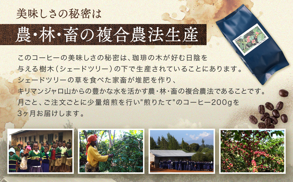 【中煎り】ふるさとの香り「煎りたて」３カ月定期便 ルカニ村・フェアトレード・プロジェクト　キリマンジャロ ルカニ村  200ｇ×3カ月 | 焙煎 珈琲 コーヒー ルカニ村 キリマンジャロ 　あそびば.