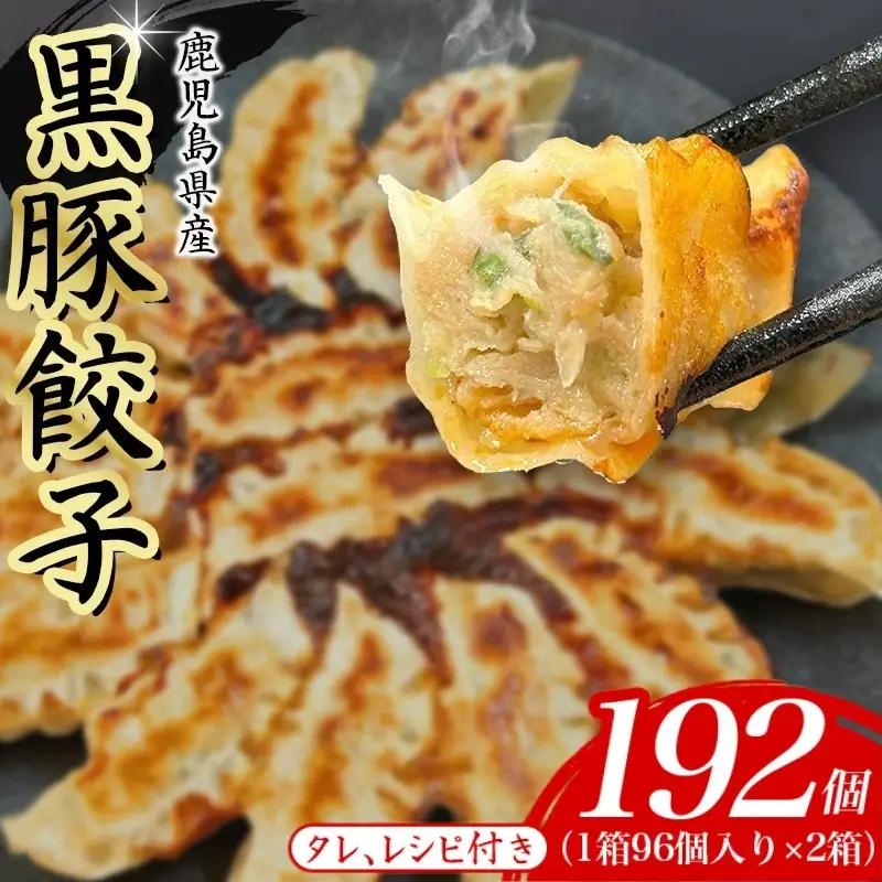 餃子 黒豚餃子 192個 【gnkt0003】