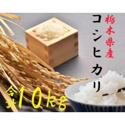 ふるさと納税 さくら市 【令和7年産】栃木県さくら市産コシヒカリ精米10kg(5kg×2袋)