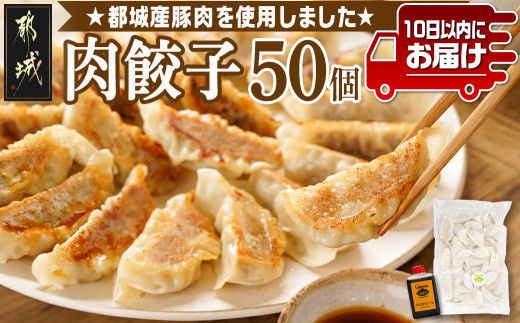 
            831ハチサンイチの肉餃子50個入り ≪みやこんじょ特急便≫_LF-K602-Q_(都城市) 肉餃子50個 都城産豚使用 柚子胡椒たれ付 大容量
          