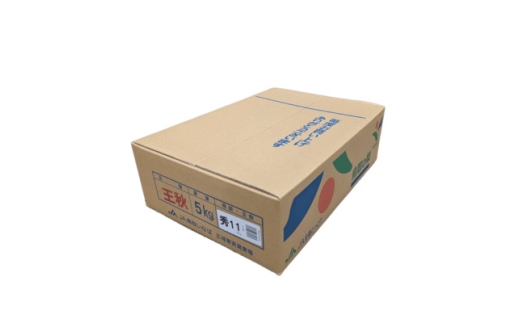 鳥取県産　王秋梨　5kg【1748590】
