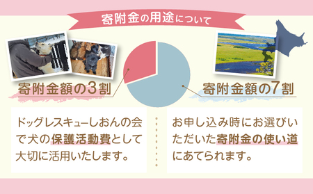 【野犬の保護活動】浜中町「ドッグレスキューしおんの会」を支援　10000円分  NPO法人 動物 犬 返礼品なし_H0039-006