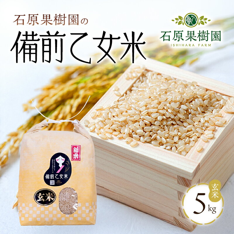 【ふるさと納税】米 令和7年産 石原果樹園の備前乙女米 玄米 5kg×1袋 ※11月上旬～順次発送予定 お米 ライス 乳酸菌栽培 岡山県 おにぎり お弁当　お届け：11月上旬～順次発送予定