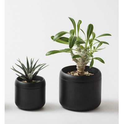 ふるさと納税 八尾市 プラントポット ハチ 2号/3号セット(D161)