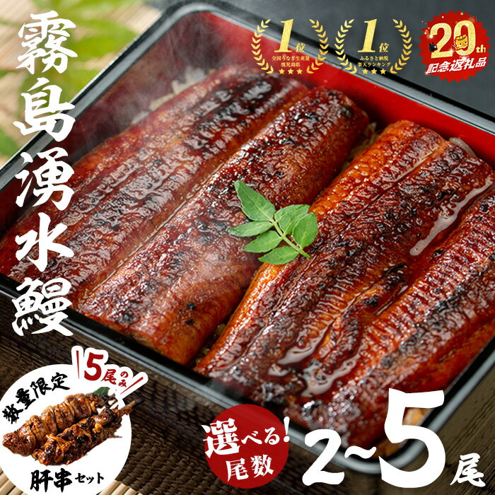うなぎ生産量日本一の鹿児島県！山田水産の霧島湧水鰻 160g以上×5尾＜計800g以上＞