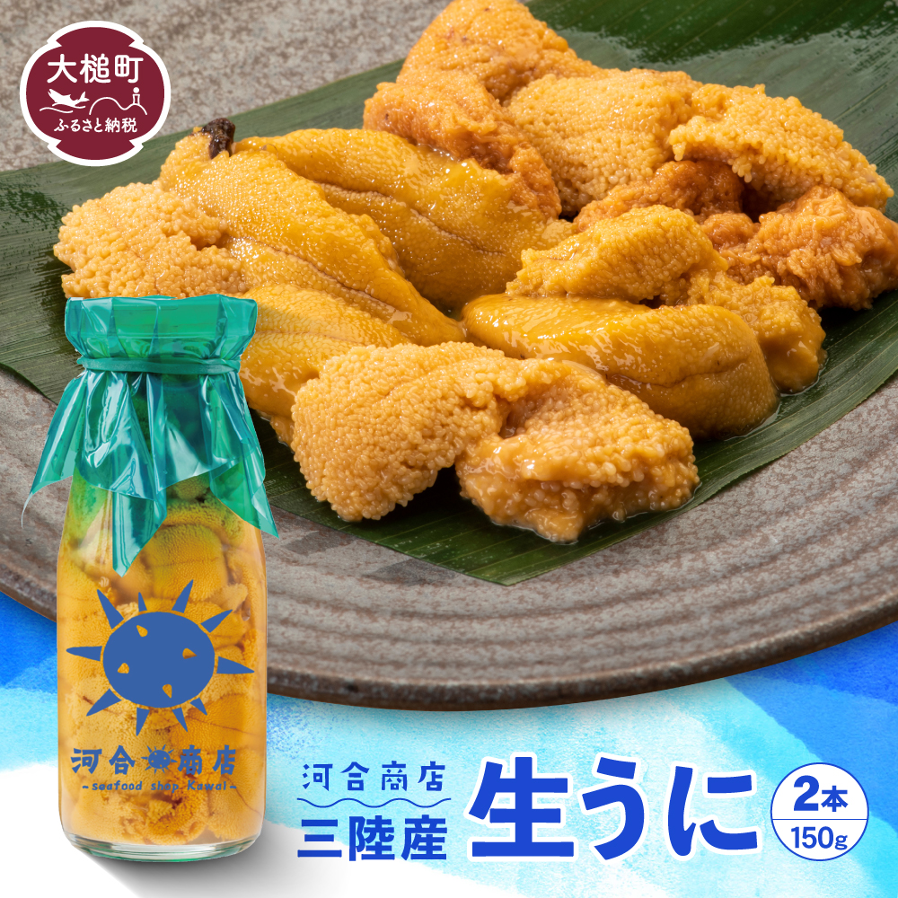 【令和8年発送先行予約】無添加『生うに』 天然 岩手三陸産 朝獲れ ミョウバン不使用 150g×2【2026年4月下旬～8月発送】【15】