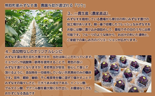 みずなす漬け5個＋生みずなす5個セット