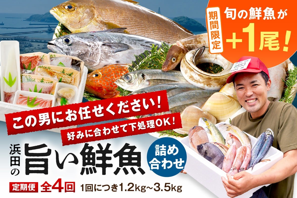 
                  【期間限定特集】【4回定期便】 この男にお任せ！～浜田の旨い鮮魚四季のお届けコース～ ＋ 旬の鮮魚1匹（初回のみ） 海鮮 セット 鮮魚 定期便 4回 詰め合わせ 海鮮セット 海鮮 海鮮定期便 下処理済み 【006_2061】
                