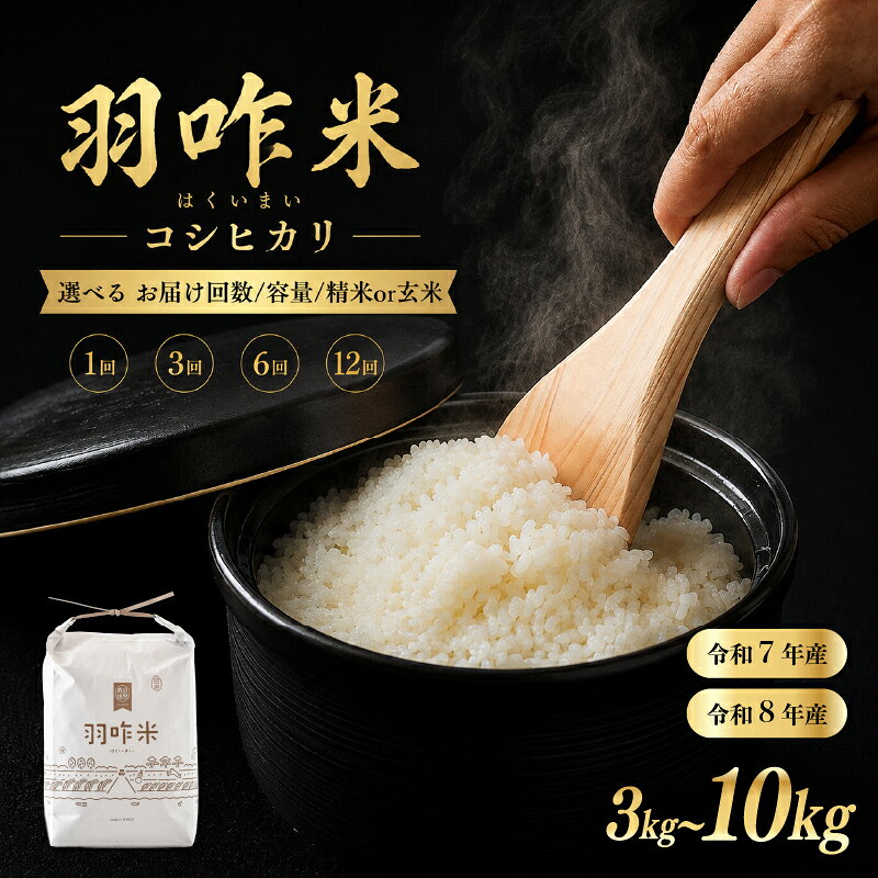 【ふるさと納税】 米 令和8年産 先行予約 令和7年産 コシヒカリ お米 10kg 5kg 3kg / 自然栽培米 石川県産 羽咋米 白米 玄米 単品 定期便 選べる 12ヶ月 6ヶ月 3ヶ月 精米具合 選べる 数量 限定 環境 R7 こめ ふるさと納税米 米 5kg お米 10kg 能登 石川 復興支援 災害 支援