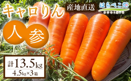 人参『キャロりん』（4.5kg×3箱）合計13.5kg・H110