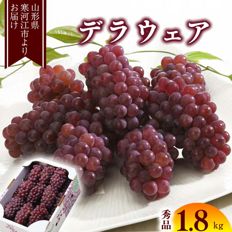 【ふるさと納税】《先行予約》 令和8年産 「デラウェア」 秀品 約1.8kg （8-16房） 種無しぶどう 山形県産【2026年7月末頃 - 8月末頃発送予定】 ※配送不可 沖縄・離島 果物 フルーツ 果実 葡萄 グレープ ブドウ 甘い 糖度 種なし 特産 産地直送 新鮮