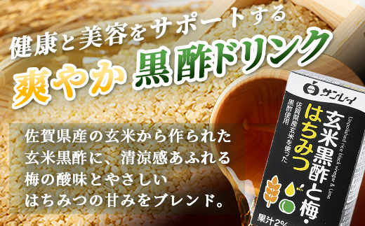 玄米黒酢と梅はちみつ 125ml×24本 6回 定期便 清涼飲料水 飲みやすい サンレイ 紙パック 飲料 飲み物 さわやか サッパリ 健康 美容 抗酸化作用 リピーター 美味しい ストック 定期 常備