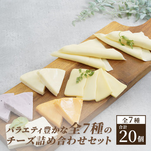 チーズ＆チーズケーキセット 定期便 3ヶ月 クラフトチーズ バラエティ 20個 セット 詰め合わせ カマンベールチーズ クリームチーズ スライスチーズ 乳製品 