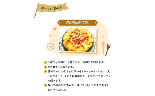 <早期予約>北海道ニセコ町 かぼちゃ5kg【2025年産】【3200601】