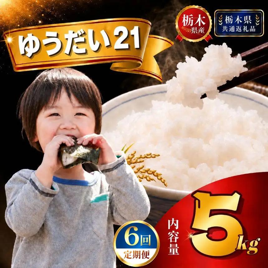 【新米】定期便6回 ゆうだい21  5kg×1袋【栃木県共通返礼品 栃木県産】AB | 栃木県 下野市