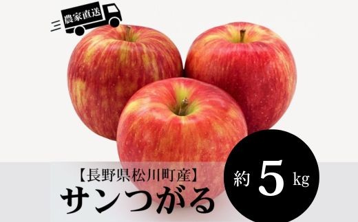 HF25 【長野県松川町】農家直送！サンつがる 約5kg ／8月下旬～9月上旬ごろ発送開始予定 // 長野県 南信州  減農薬栽培 りんご サンつがる エコファーマー認証