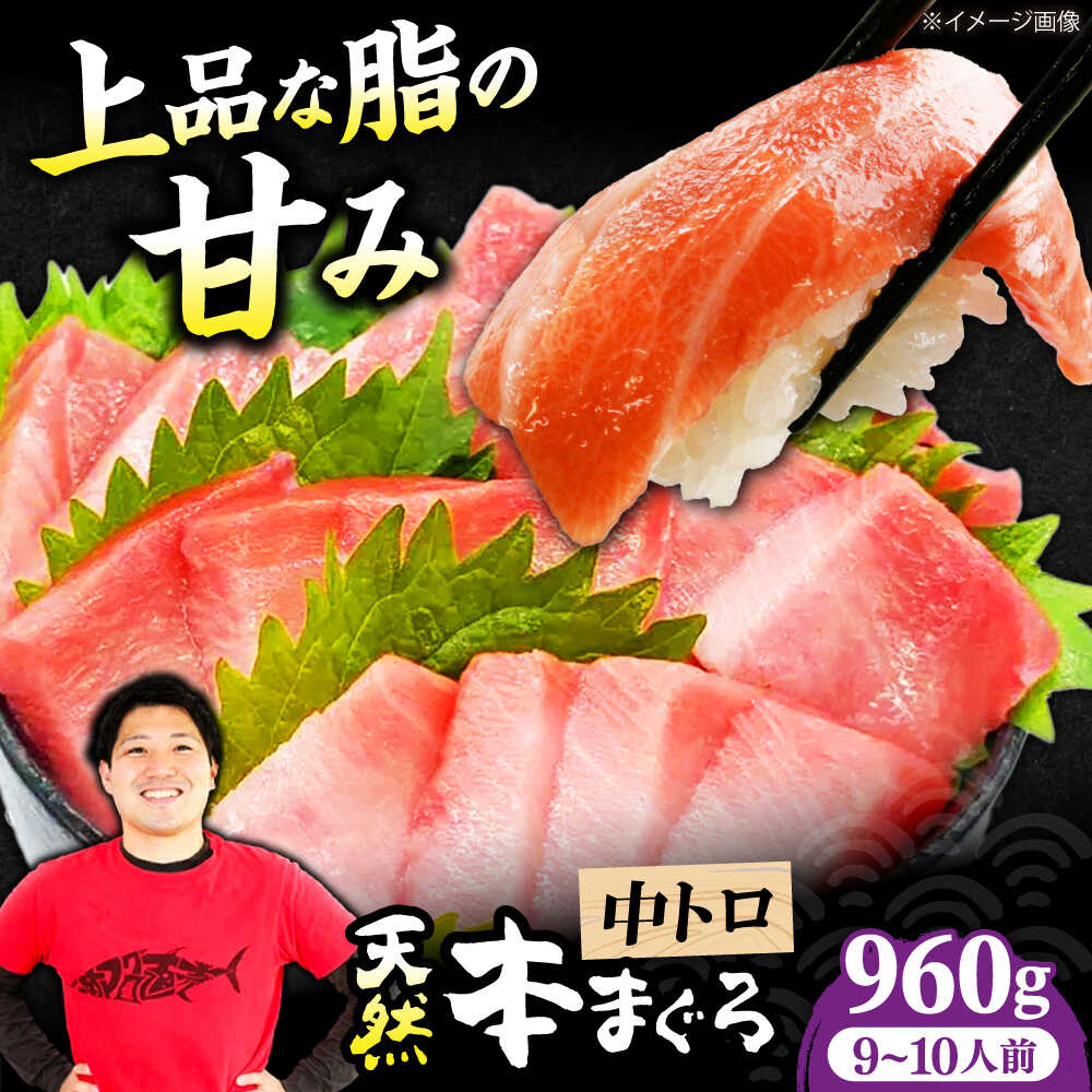 【ふるさと納税】極上！たね熟天然本まぐろ中トロ(960g) 天然 マグロ 鮪 中トロ 刺身 魚 魚介 大阪府高槻市/本まぐろ直売所[AOCE011]