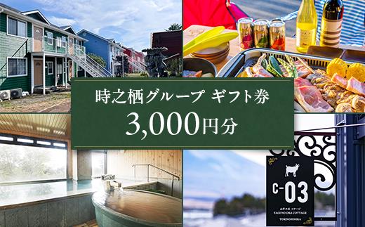 
                  時之栖グループギフト券（3,000円分） | 母の日 宿泊券 旅行 富士山 富士山宿泊券トラベル 富士山旅行宿泊券 ギフト券 利用券 旅行券 しゅくはくけん とらべる シュクハクケン ぎふとけん 宿泊ギフト 旅行ギフト 時の栖 ときのすみか 時之栖ギフト券 ときのすみかギフト券 時之栖利用券 施設利用 御殿場 御殿場高原 リゾート ホテル 天然温泉 サウナ 観光 国内旅行 グルメ ショッピング
                