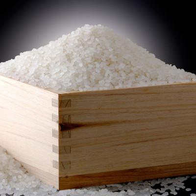 ふるさと納税 津南町 【令和6年産】 魚沼産コシヒカリ 無洗米10kg 魚沼地域津南町の美味しいお米 |  | 03