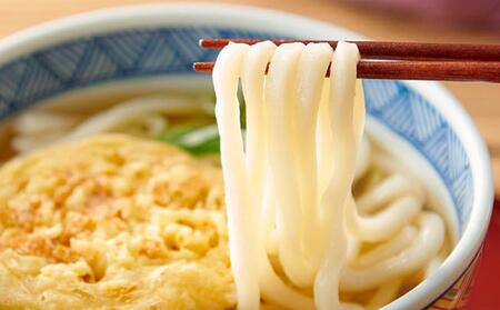 ゆで天ぷらうどん10食（1袋：麺180g×10食）讃岐の本格派具材付き！｜うどん ゆで麺