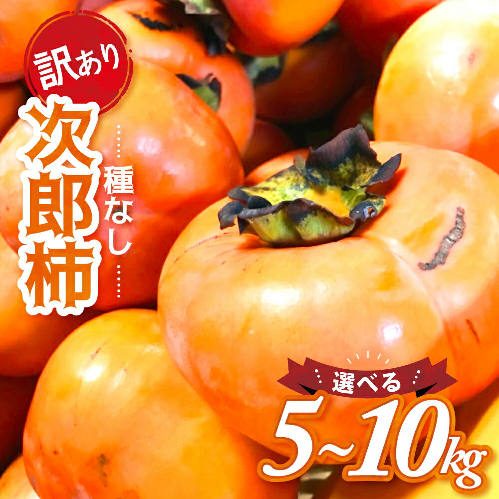 【ふるさと納税】【令和7年産柿/先行予約】《 訳あり 》5～10kg 次郎柿 たねなし 柿 かき フルーツ 家庭用 訳あり 規格外 わけあり 不揃い ふぞろい 種なし 干し柿 先行 先行予約 三重県 多気町