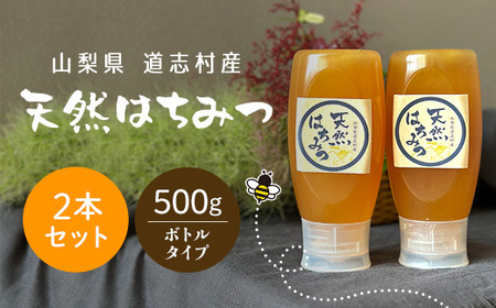 道志村産　天然はちみつボトルタイプ　500g×2本 DSD006　