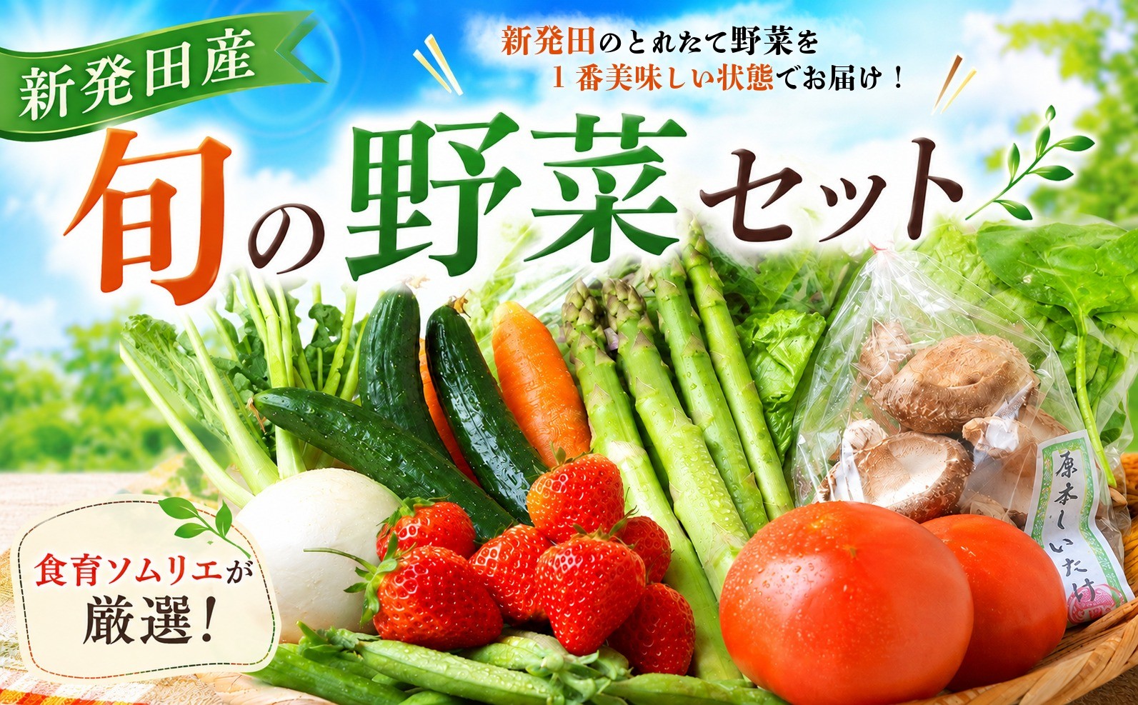 
                  野菜 旬 新鮮 セット 食べ比べ 詰め合わせ 新潟県産 新発田産 産地 直送 鮮度 食育 ソムリエ 厳選 選りすぐり  おまかせ 季節 旬 国産 やさい 特産品 ヤサイ 季節の野菜 果物 新潟県 新発田市 ( キャベツ アスパラガス 山菜 枝豆 トマト ナス いちじく かぼちゃ さといも オータムポエム ほうれん草 原木 しいたけ )
                
