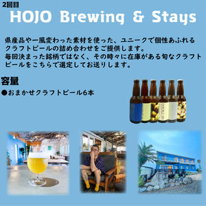 【全4回】松山クラフトビール 定期便 全22本 【MCB0012】