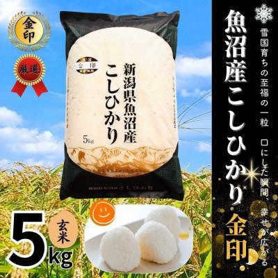 ふるさと納税 津南町 【令和7年産】魚沼産コシヒカリ金印(玄米)5kg