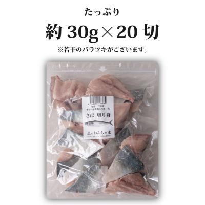 ふるさと納税 名取市 魚のおんちゃま 三陸常磐産 サバ 骨取切り身 30g×20枚入 |  | 03