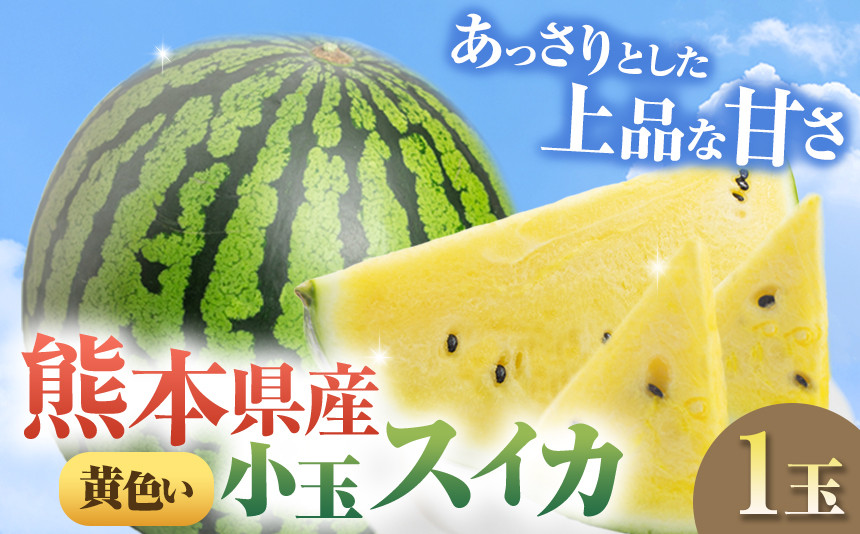 
                  【 先行予約 】小玉スイカ（黄色）1玉 熊本県 和水町産 【 2026年（令和8年）5月下旬頃より順次発送予定 】 | 熊本県 和水町 くまもと なごみまち すいか 西瓜 watermelon 小玉 1玉 黄色
                