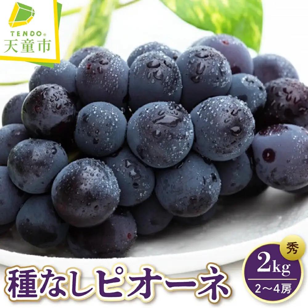 ぶどう 種なし ピオーネ 2kg フルーツ 果物 山形 ブドウ