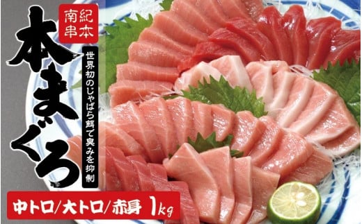 【2週間以内に発送】本マグロ トロ＆赤身セット 1kg（養殖） 濃厚な赤身と高級部位トロの鮪好きにはたまらないセット 【串本町×北山村】 高級 クロマグロ まぐろ マグロ 鮪 中トロ 赤身 柵 マグロ