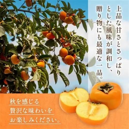 熊本県益城町産 太秋柿 約2kg入り(益城町)【配送不可地域：離島】【1713793】