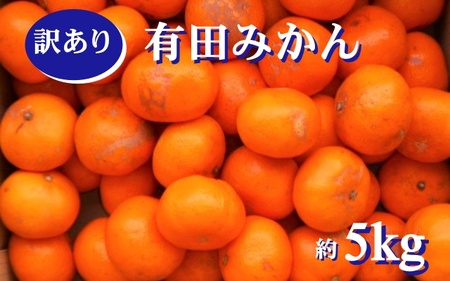 紀州有田みかん 約５kg　訳あり　キズ　御家庭用　サイズ混合　※2026年11月24日より順次発送予定※北海道・沖縄・離島配送不可 / みかん ミカン 果物 くだもの フルーツ 柑橘 和歌山【sml130A】 