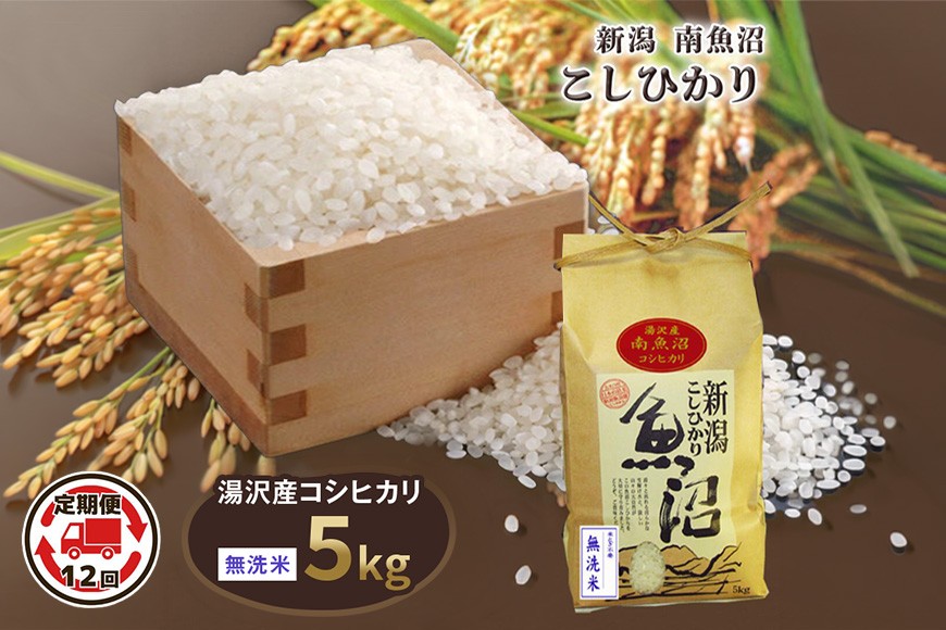 
                  令和8年産 5kg 【12か月定期便】〈無洗米〉 魚沼最上流域 南魚沼産 コシヒカリ 精米したてのお米をお届け 【湯沢産 コシヒカリ】
                