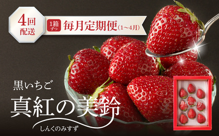 ★予約受付★玄海町産いちご“真紅の美鈴（しんくのみすず）” 毎月定期便｜苺 果物 フルーツ 旬 定期便【Z040】