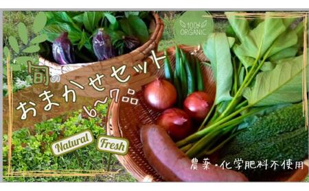 【農薬・化学肥料不使用】旬のお野菜おまかせセット 6～7品 | 野菜 野菜 野菜 野菜 野菜