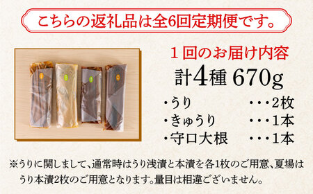 【全6回定期便】【明治神宮ご奉献品】奈良漬 「琥珀漬」670g ご家庭用 詰め合わせ 《築上町》【有限会社奈良漬さろん安部】奈良漬 奈良漬け[ABAE029] 60000円 漬物 漬け物 奈良漬け 粕