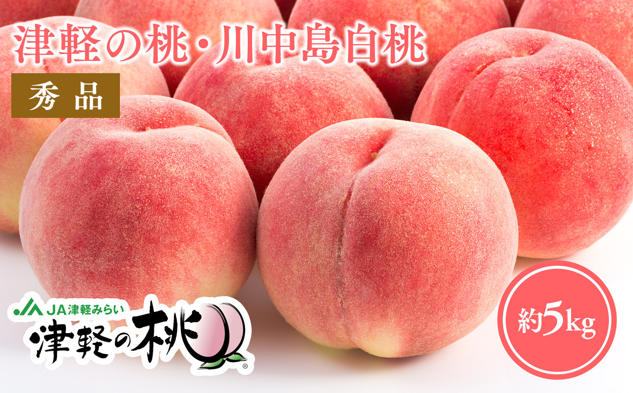 
                  ≪8月下旬～9月中旬発送予定≫ 津軽の桃 川中島白桃 約5kg 秀品 
                