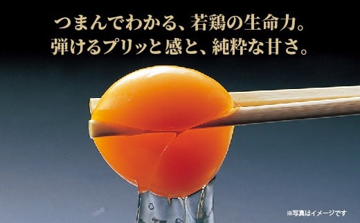 弾けるプリッと感と、純粋な甘さ ※画像はイメージです