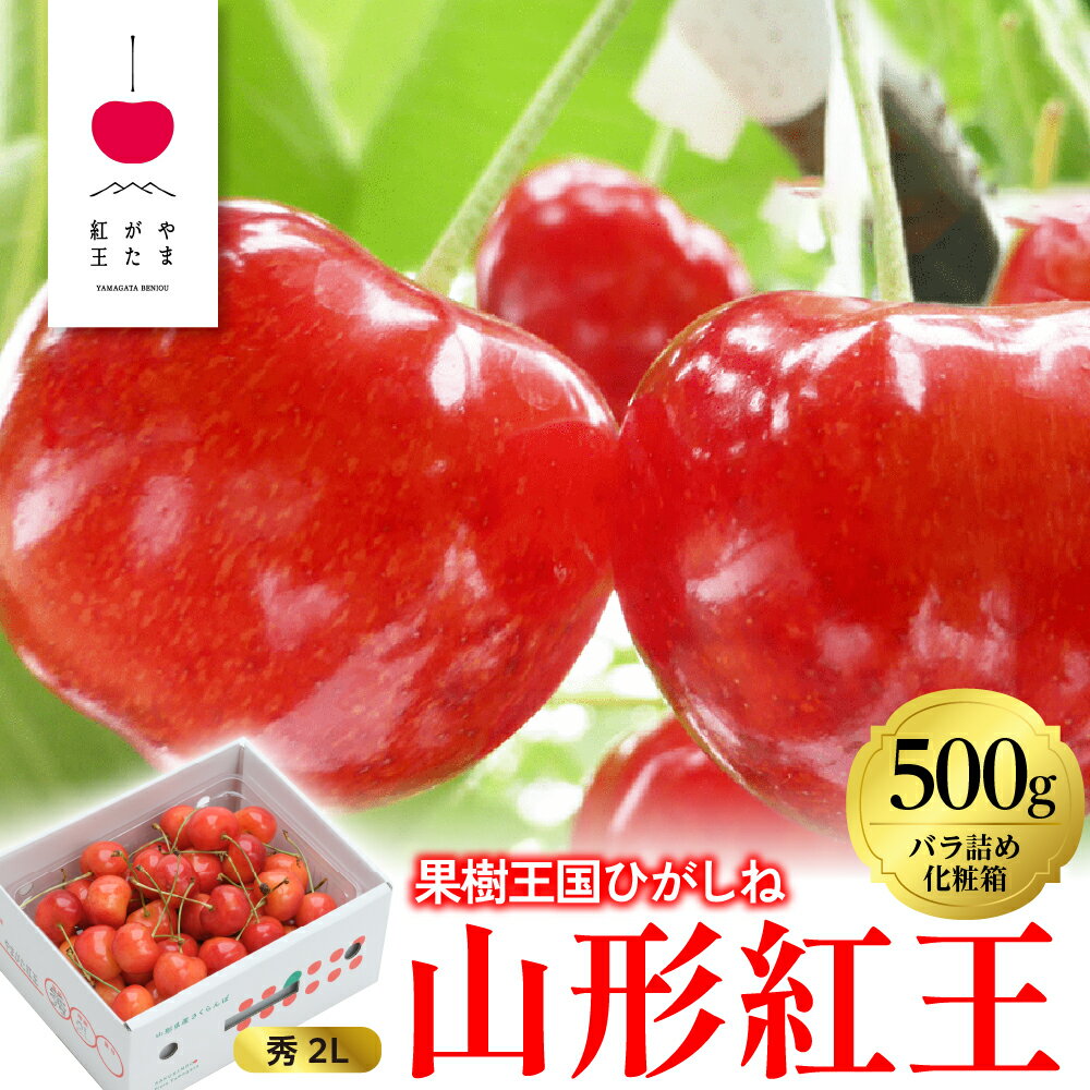 【ふるさと納税】2026年 さくらんぼ 「 やまがた紅王 」500g バラ詰め 秀品 2Lサイズ | 先行予約 フルーツ 果物 箱入り 化粧箱 お取り寄せ 贈り物 ギフト 贈答 冷蔵 期間限定 季節限定 冷蔵配送 送料無料 東北 山形県 東根市