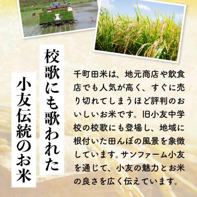 ふるさと納税 陸前高田市 先行受付 令和8年産 ひとめぼれ 白米 5kg 千町田米 布袋様 パッケージ 米 お米 ライス 限定 |  | 01