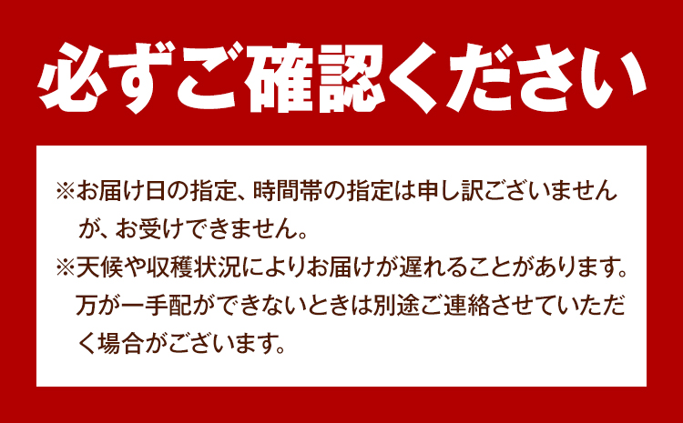 【先行予約】岡山県産 桃太郎ぶどう 約1.3kg 2-3房 《9月上旬-9月下旬頃出荷》晴れの国 おかやま館(フルーツランド岡山) 岡山県 浅口市 フルーツ 果物 青果 旬 葡萄 ぶどう【配送不可地域
