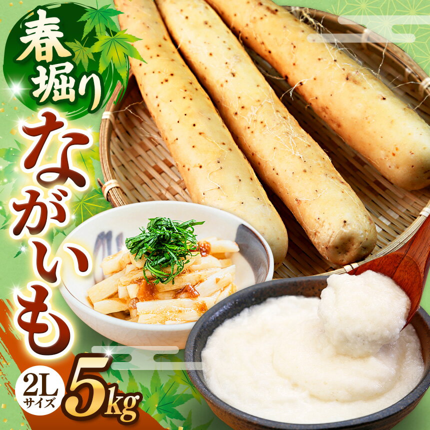 【ふるさと納税】令和7年度 春掘り！ ながいも 2Lサイズ 5kg ｜ながいも いも 芋 長芋 野菜 やさい 長いも 芋 とろろ 千切り 万能 根菜 常温 人気 美容 健康 腸活 味噌汁 天ぷら 色白 粘り あくの少ない 株式会社 ゆめグリーン Aコープ 六戸店 青森県 六戸町