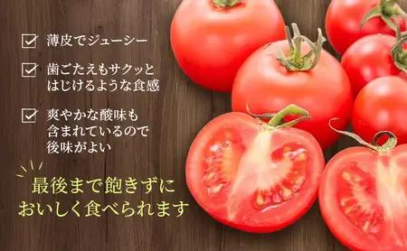 高糖度「ほれトマト」2kg　極上 ミニトマト 糖度10度以上 | トマト とまと ミニトマト フルーツトマト 野菜 やさい 人気 新鮮 産地直送 甘い 高糖度 完熟 ジューシー 食べやすい ※2026