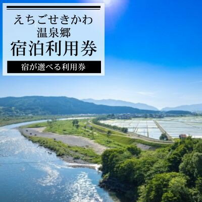 【ふるさと納税】選ばれる温泉体験 12,000円分の温泉宿泊利用券【1711669】